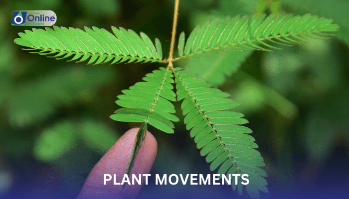 Lesson 23: Plant Movements